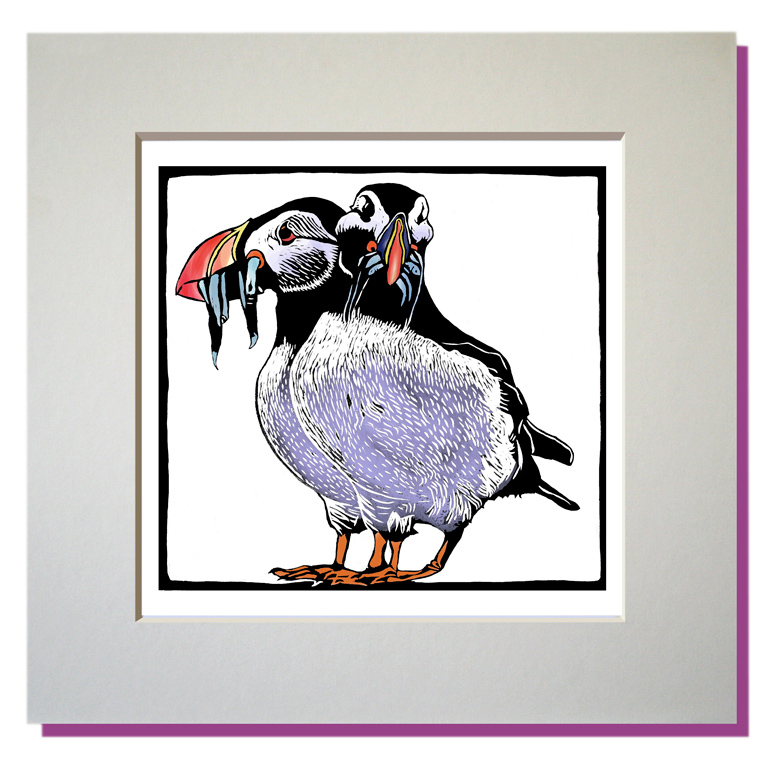 puffins small mounted prints